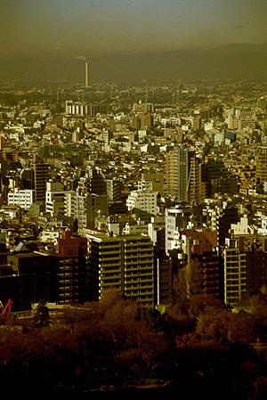 赤外線を用いるなど建物の調査を行います