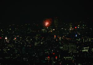 物件も周辺環境も大満足の購入としよう